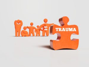 Trauma Puzzle 3D Model Group