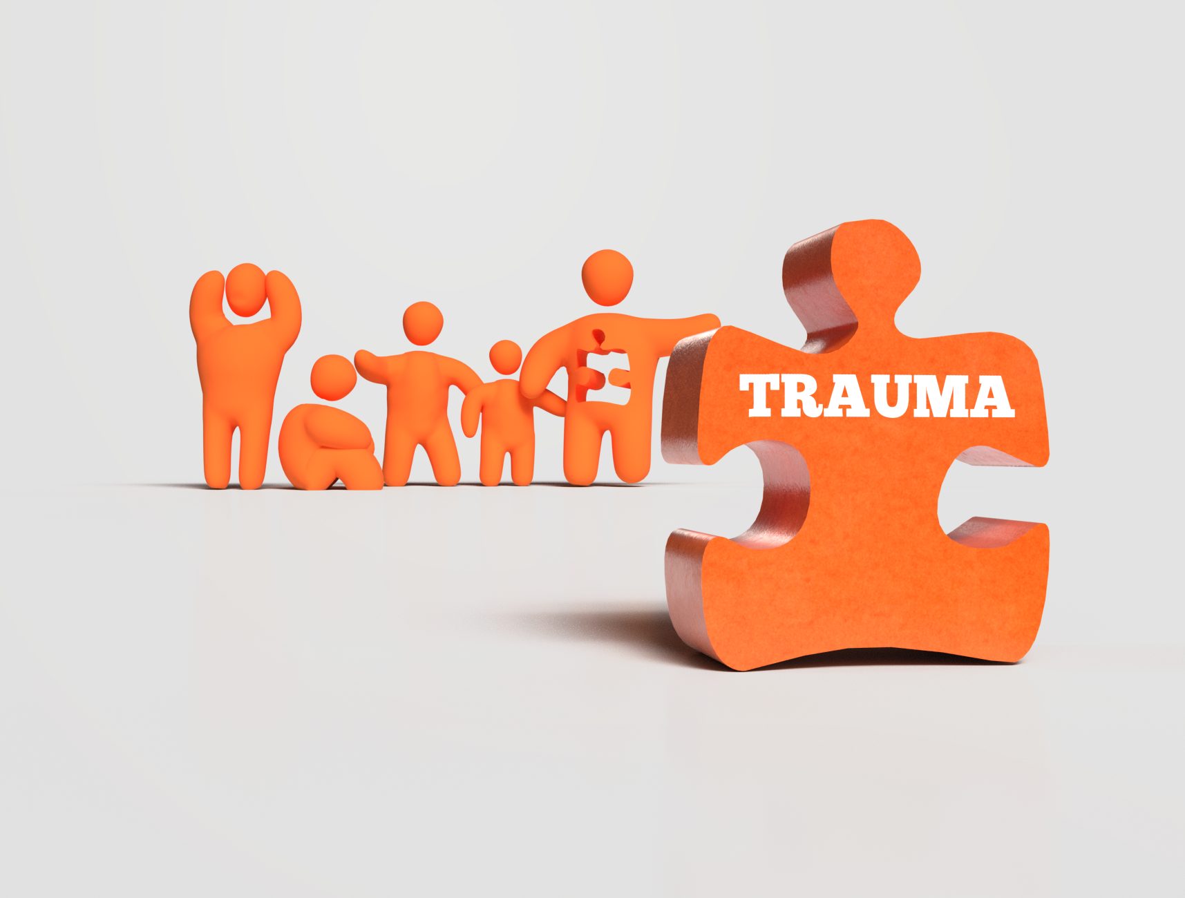 Trauma Puzzle 3D Model Group